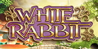 White Rabbit