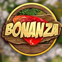 Bonanza Bonanza